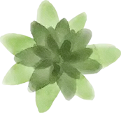 Image Slider 4